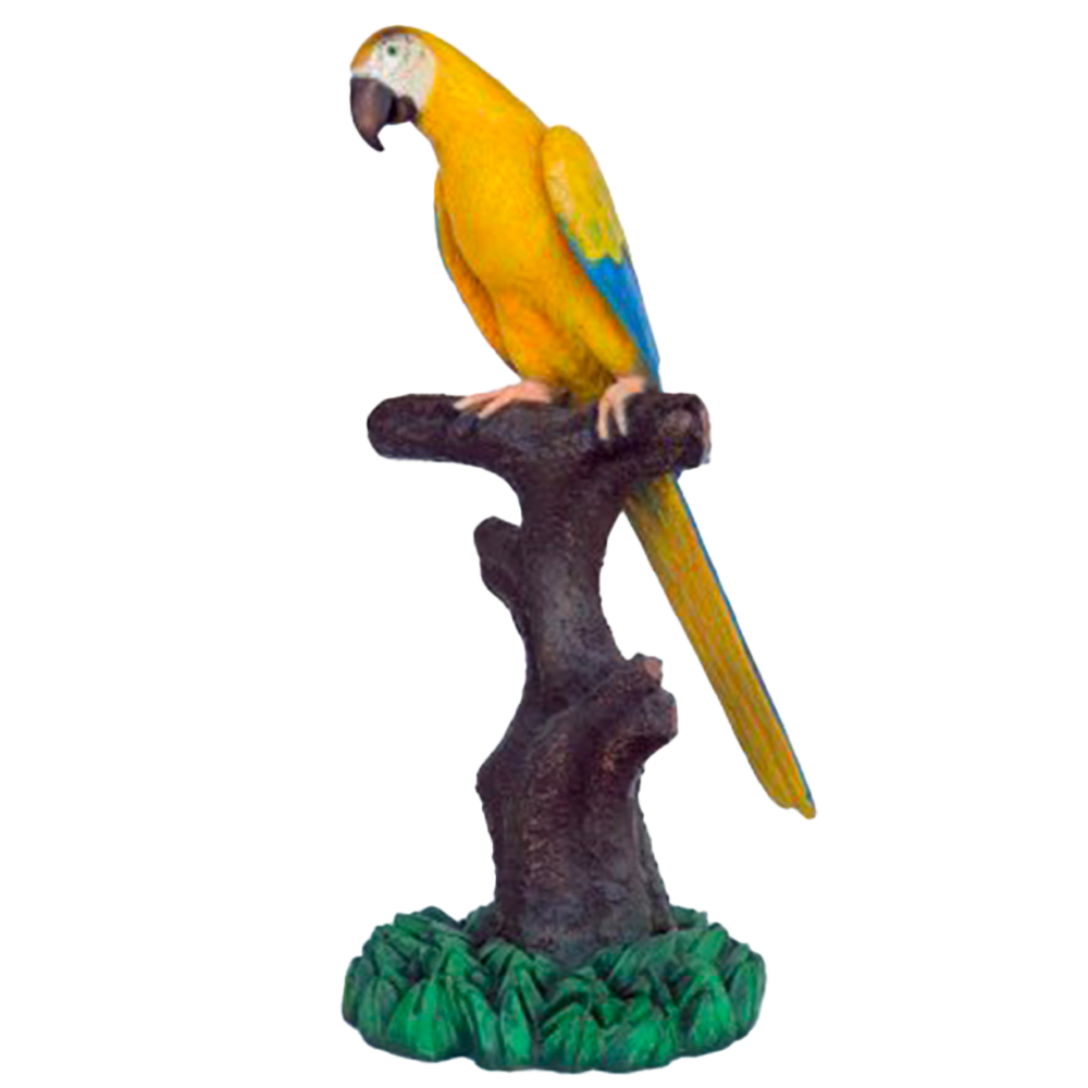 Location perroquet jaune sur perchoir