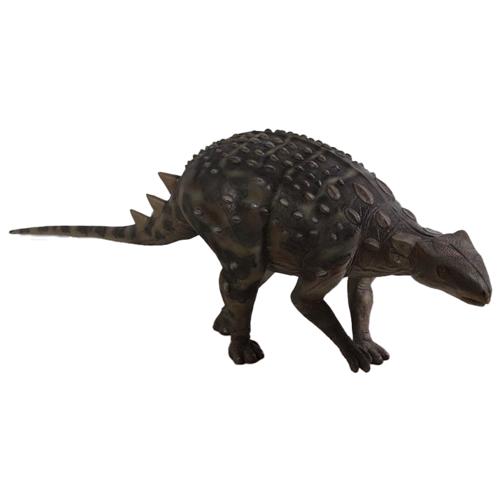 Location Ankylosaure Petit Modèle