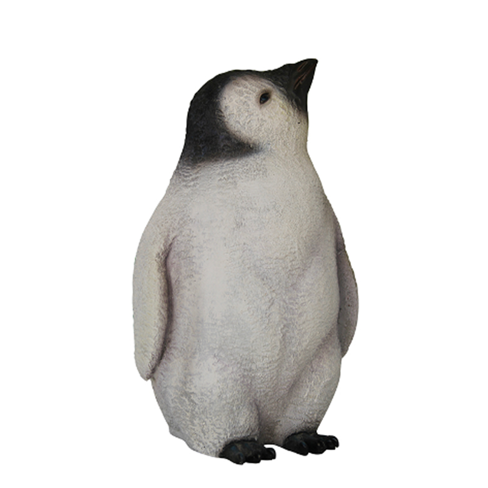 Location bébé pingouin