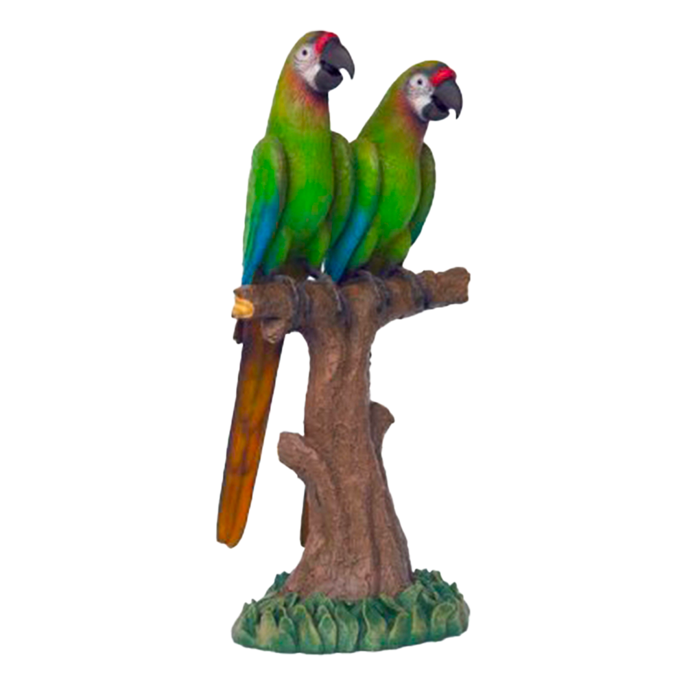 Location couple de perroquets verts