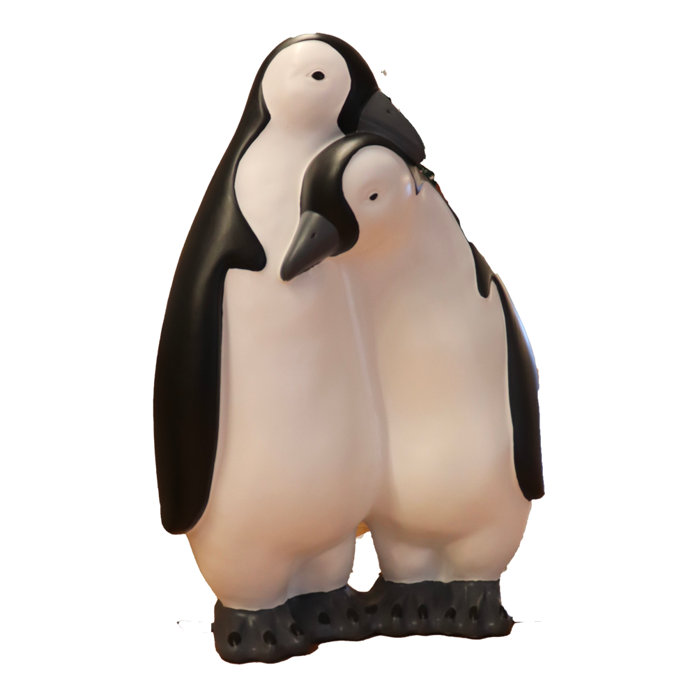 Location d'un couple de pingouins