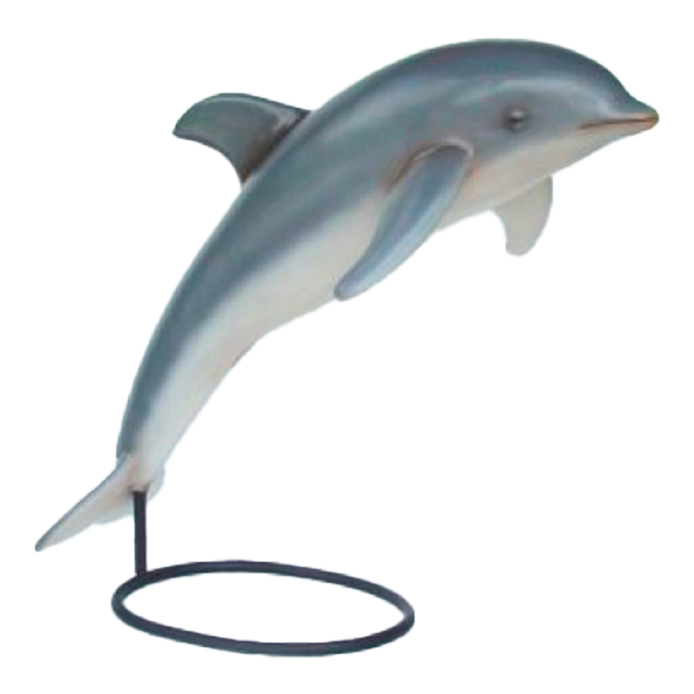 Location d'un dauphin sur pied