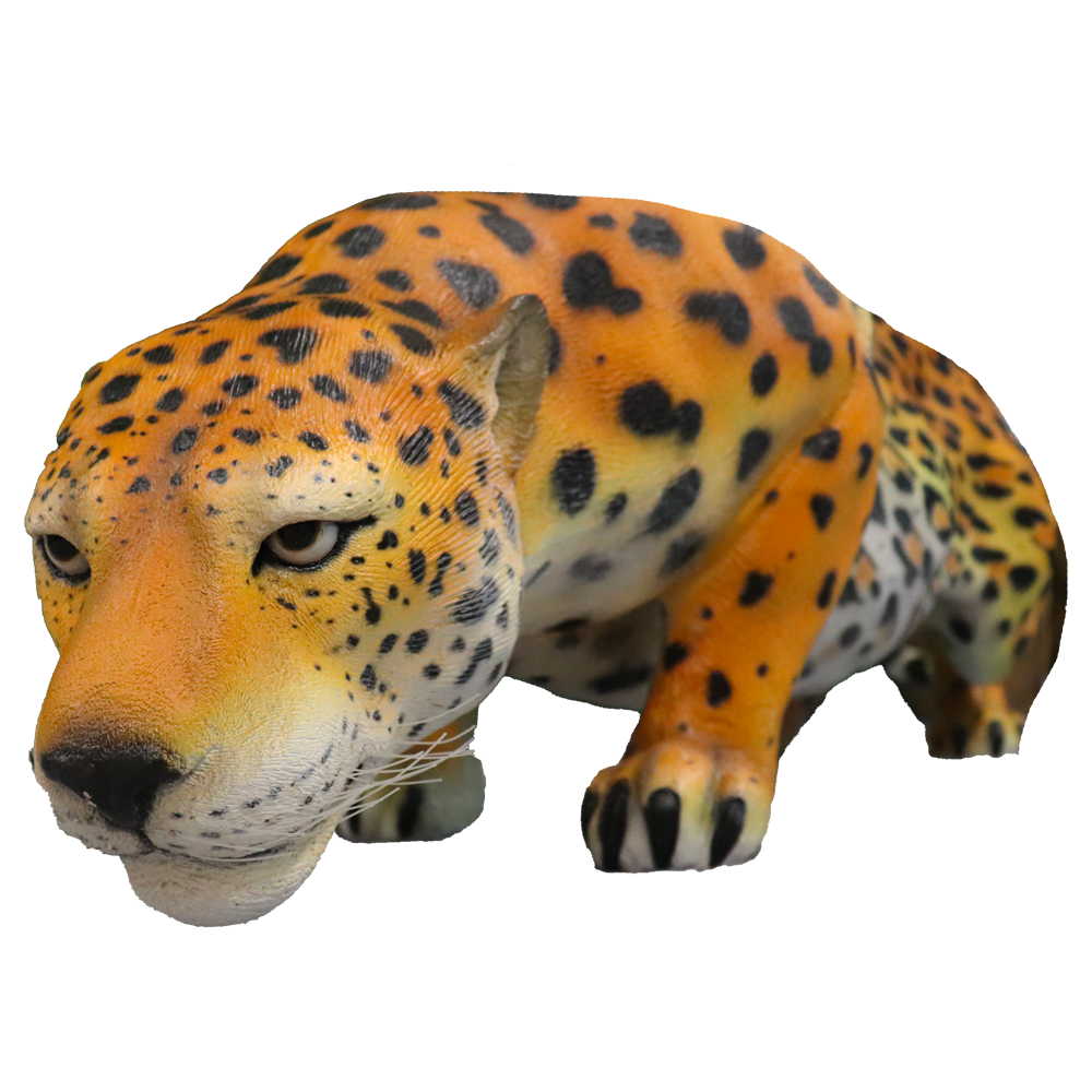 Location d'un jaguar