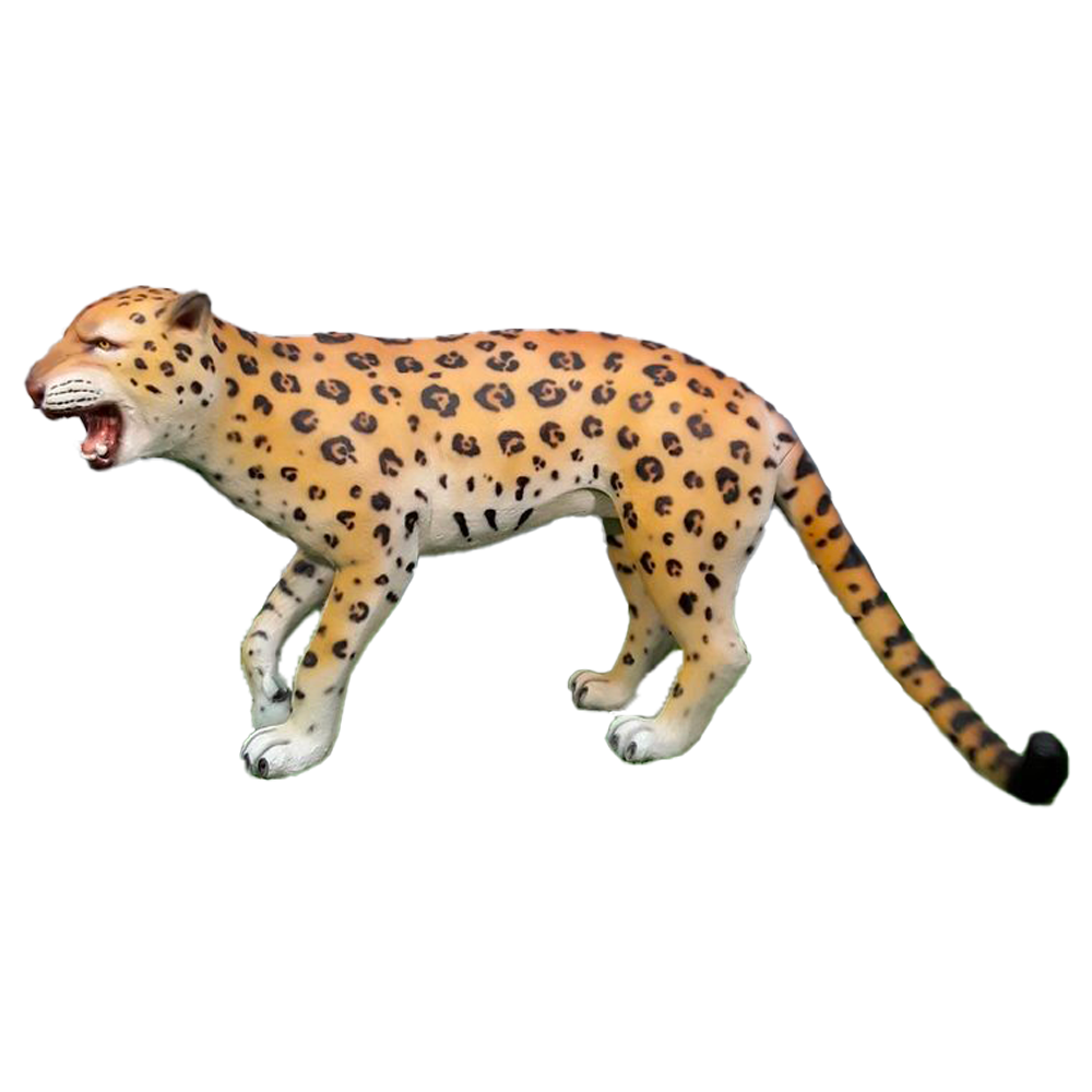 Location léopard