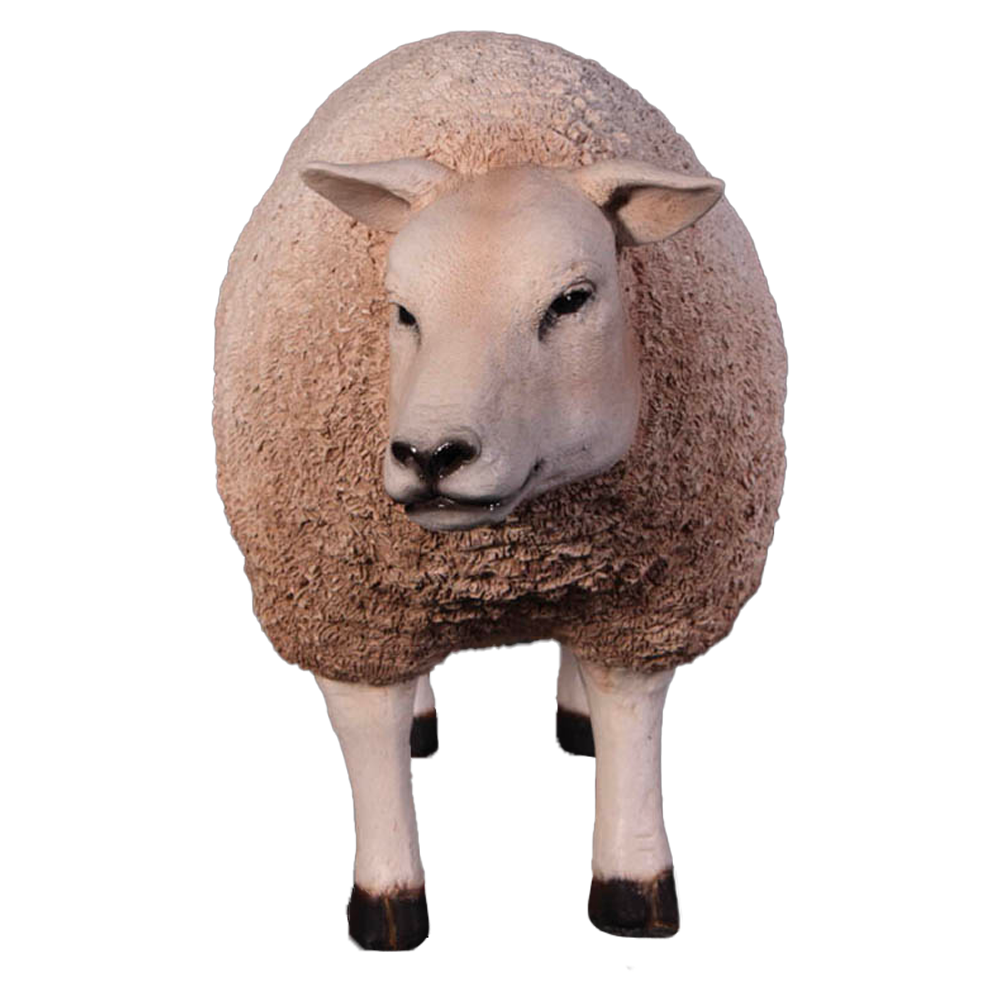 Location d'un mouton debout