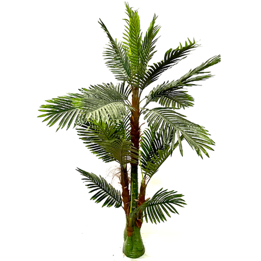 Location palmier 170cm