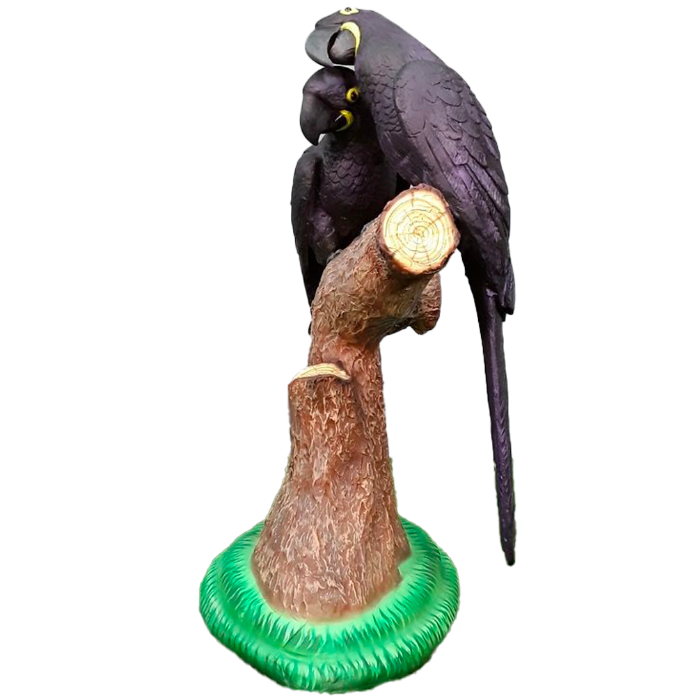 Location couple perroquets Ara noirs sur tronc