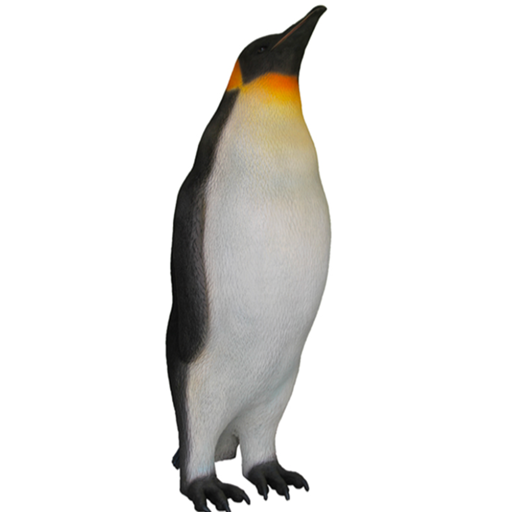 Location d'un pingouin femelle