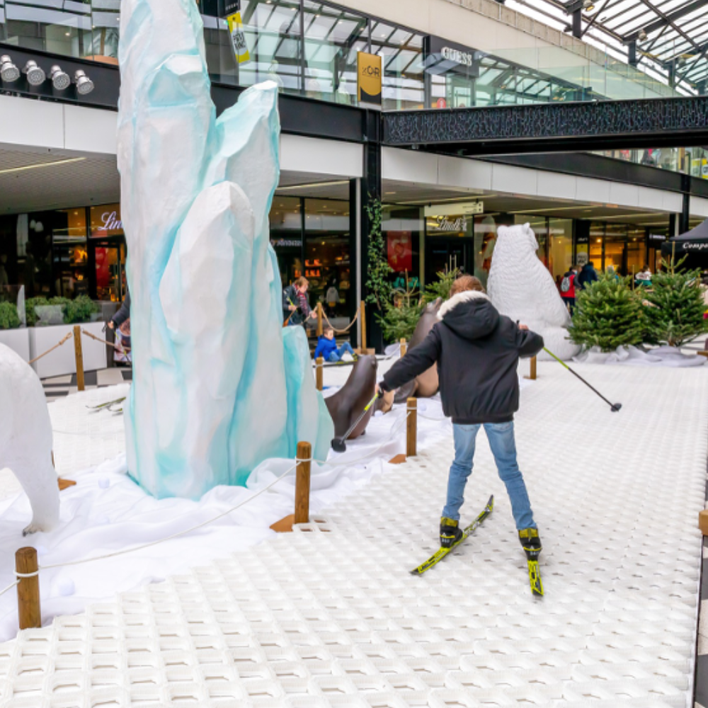 Animation Piste De Ski De Fond