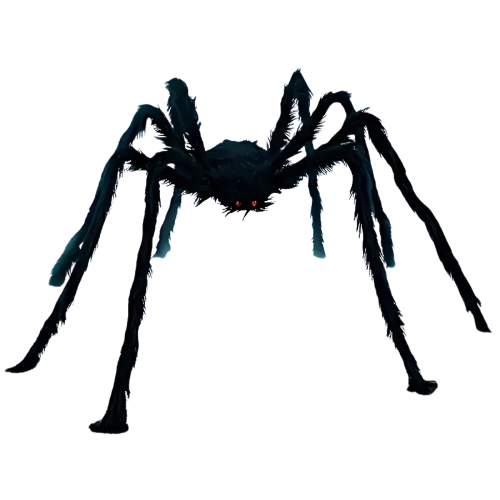 Araignée géante poilue