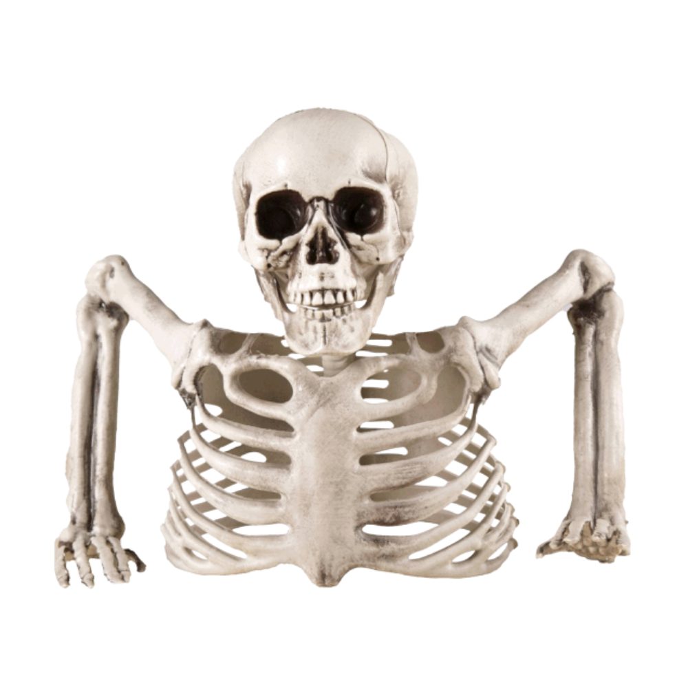 Buste de squelette