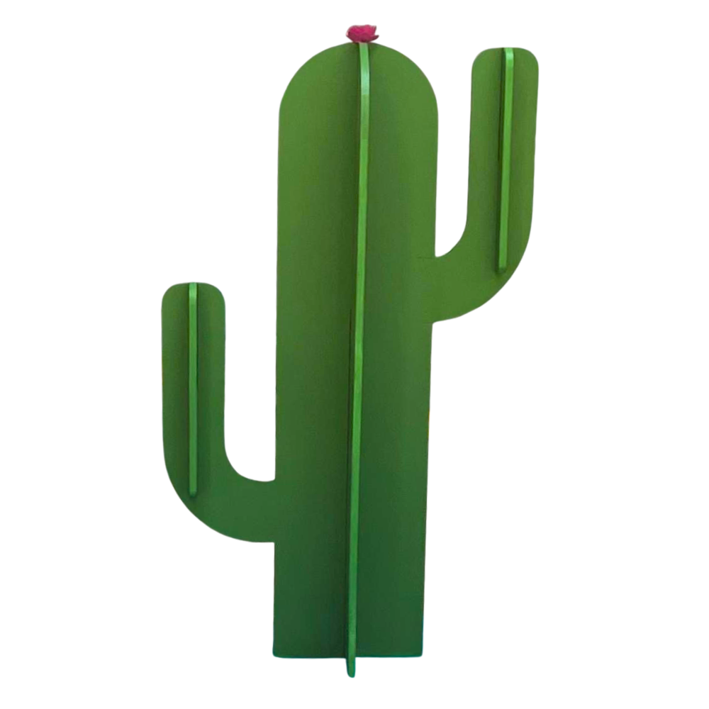 cactus 2D avec bras grand