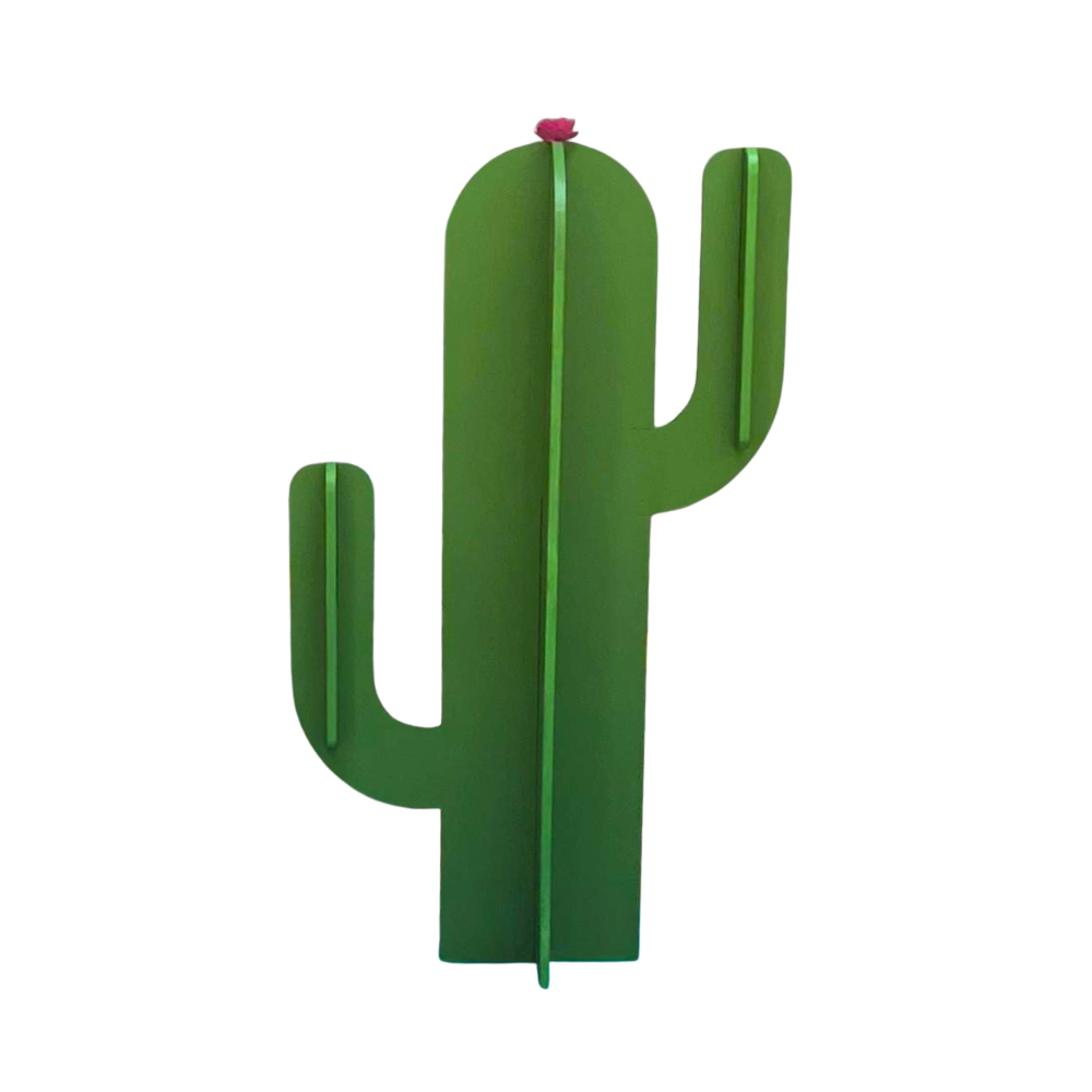 Cactus 2D avec bras moyen