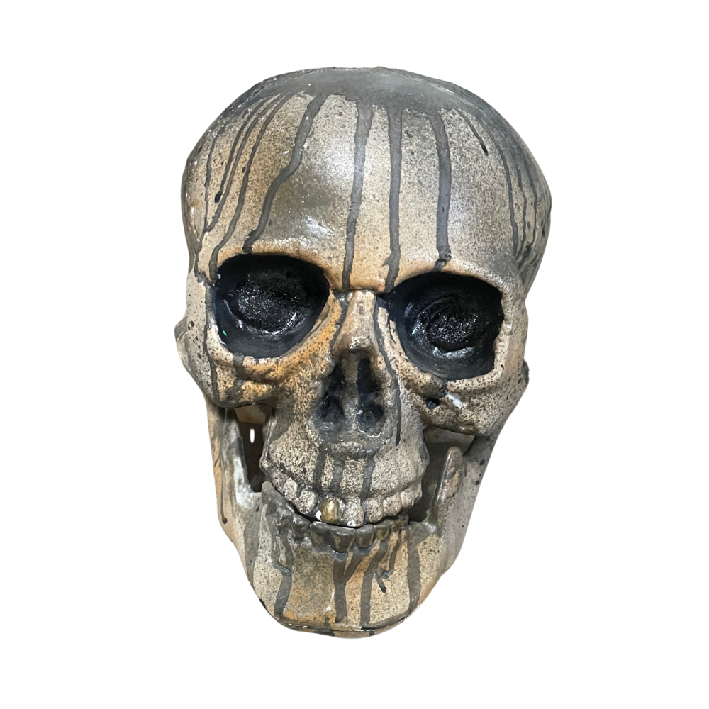 Crâne machoire amovible 2