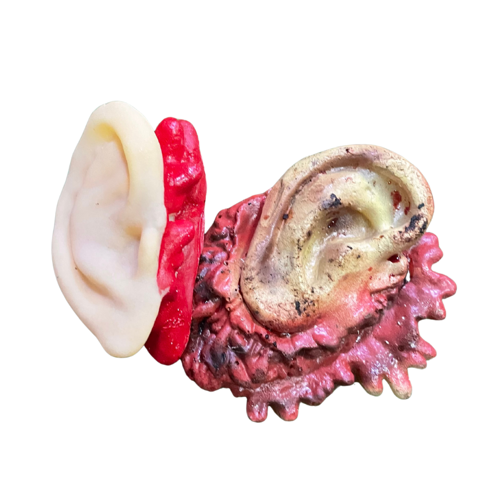 Oreilles ensanglantées