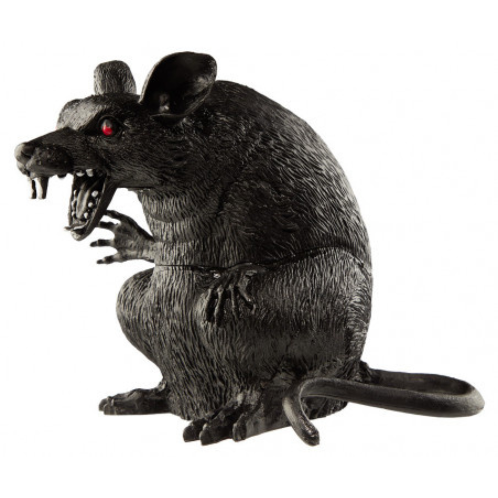 Rat