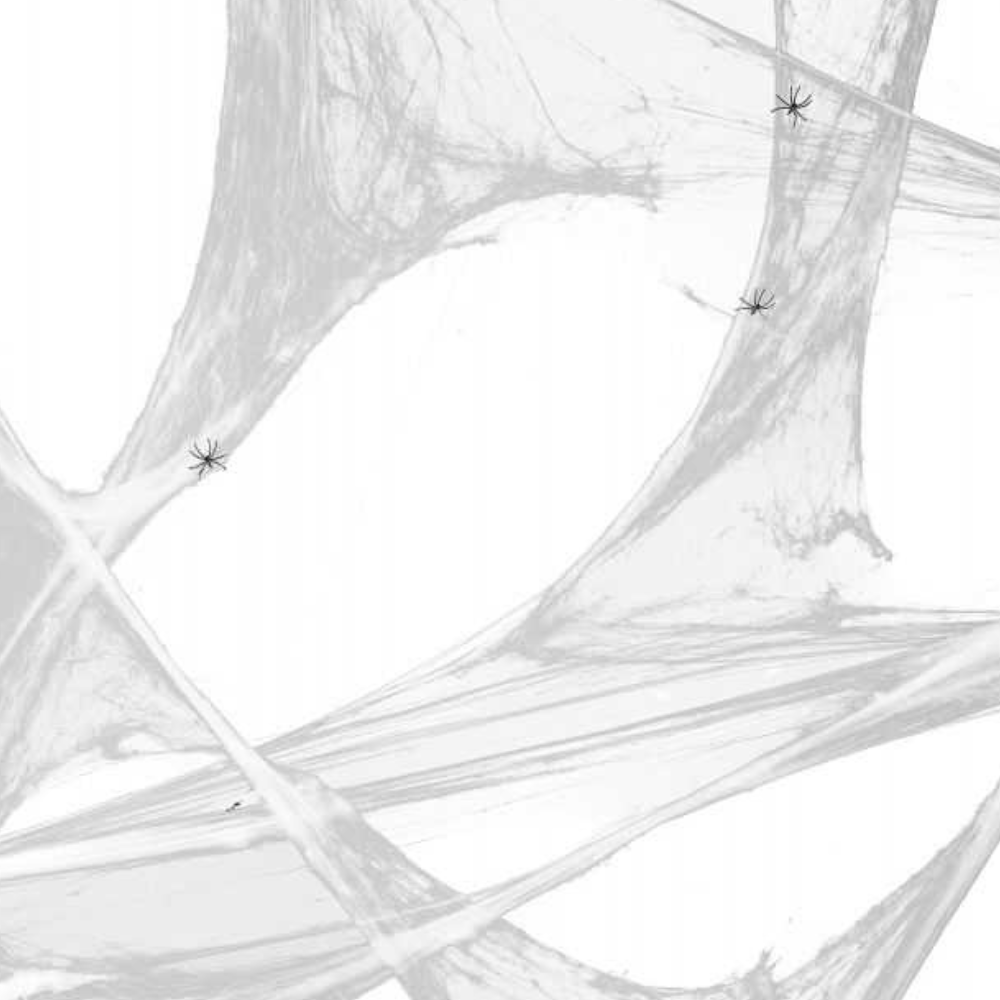 Toile d'araignée blanche