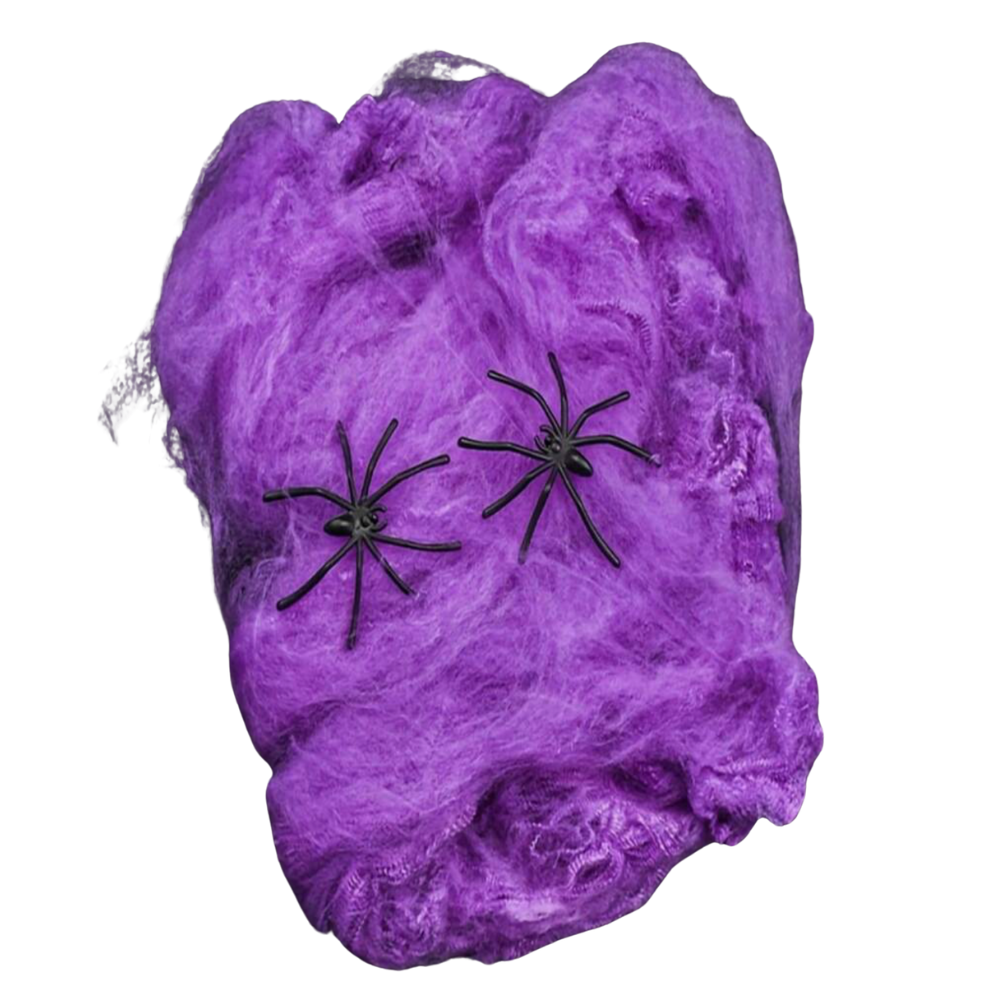 Toile d'araignée violette